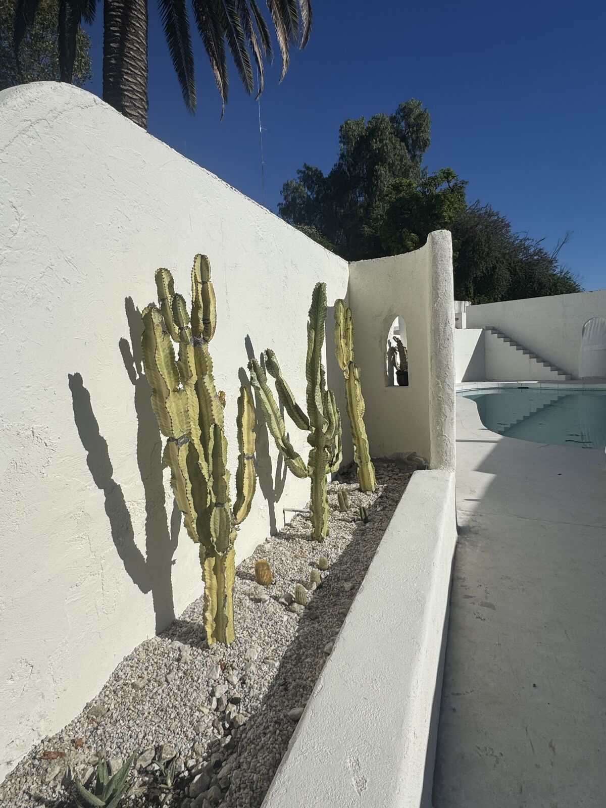 The cactus garden and white-plaster wall at Caster House, a Mediterranean-style location in Los Angeles
